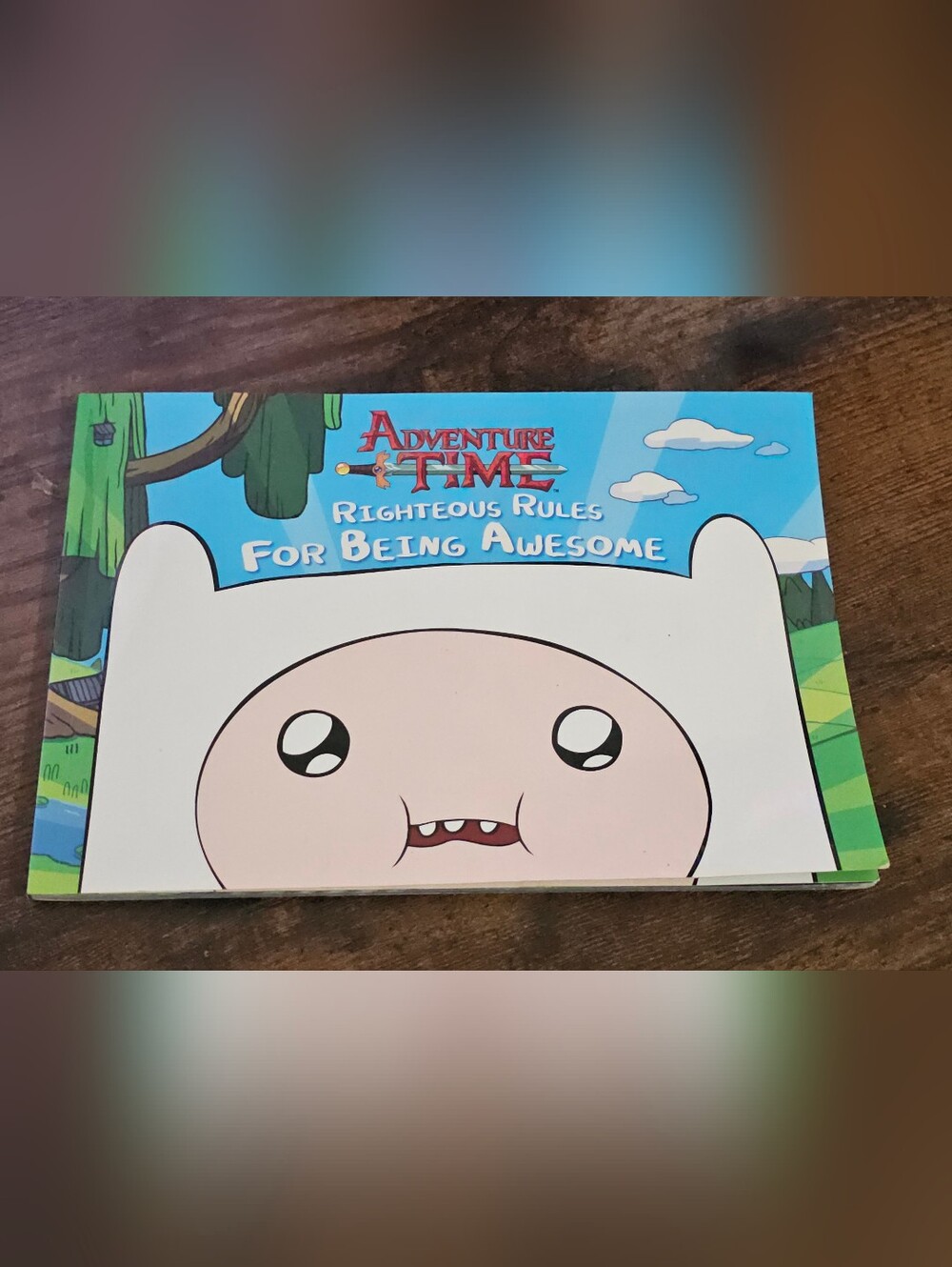 Adventure Time 'Righteous Rules For Being Awesome' Book - Blue & White